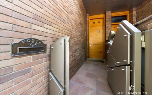 Casa o chalet en venta en Passeig Dels Til·lers, Les Franqueses del Vallès