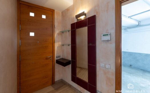 Casa o chalet en venta en Passeig Dels Til·lers, Les Franqueses del Vallès