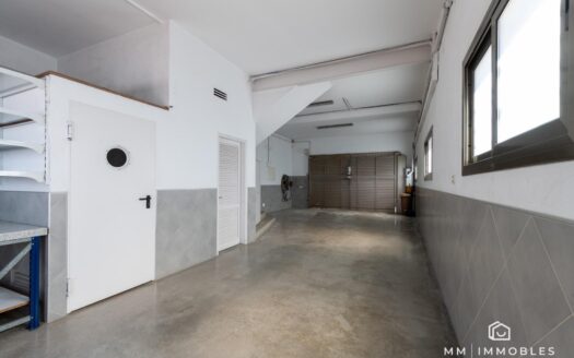 Casa o chalet en venta en Passeig Dels Til·lers, Les Franqueses del Vallès