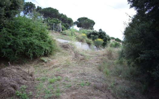 ¿Te has planteado la opción de comprar un terreno y hacer tu propia casa?