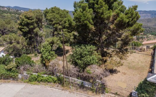 Parcela urbana semi plana apta para la construcción de hasta 3 viviendas unifamiliares.